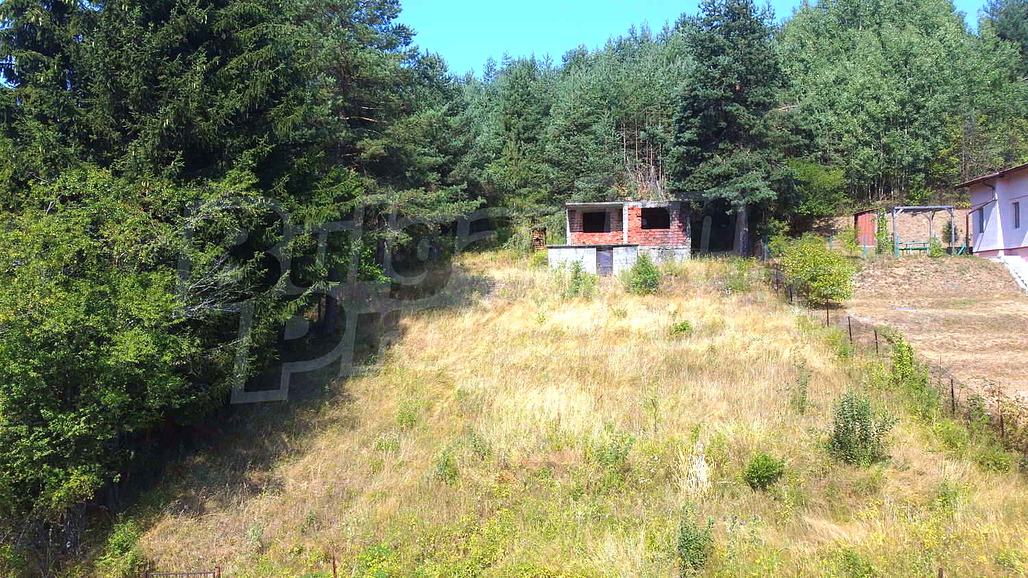 Gallery Picture 31