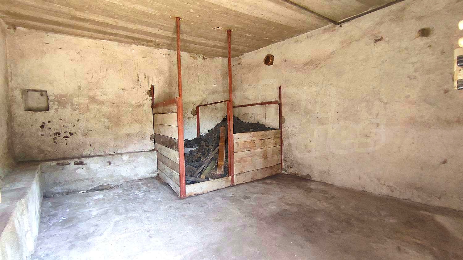 Gallery Picture 33