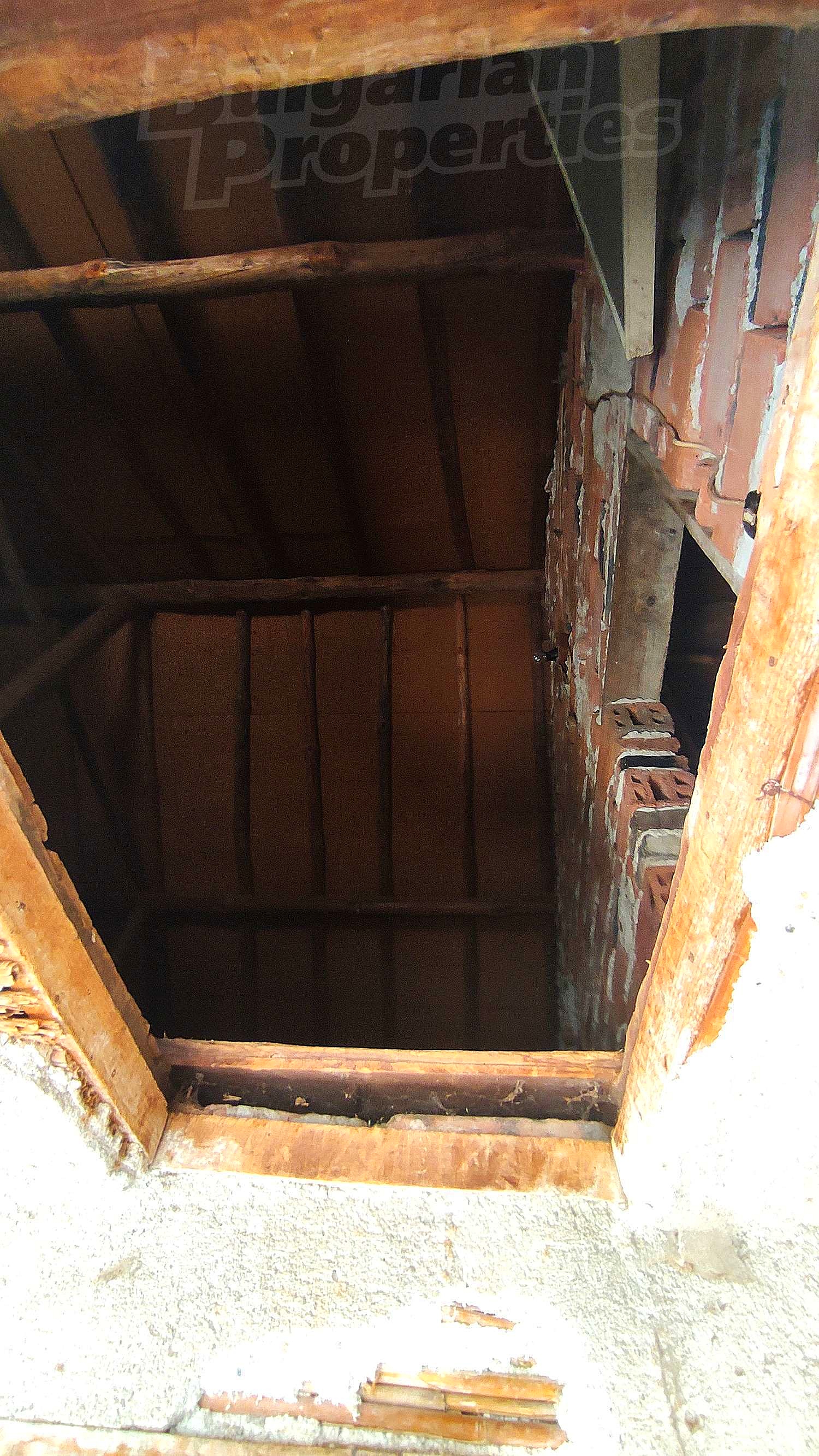 Gallery Picture 29