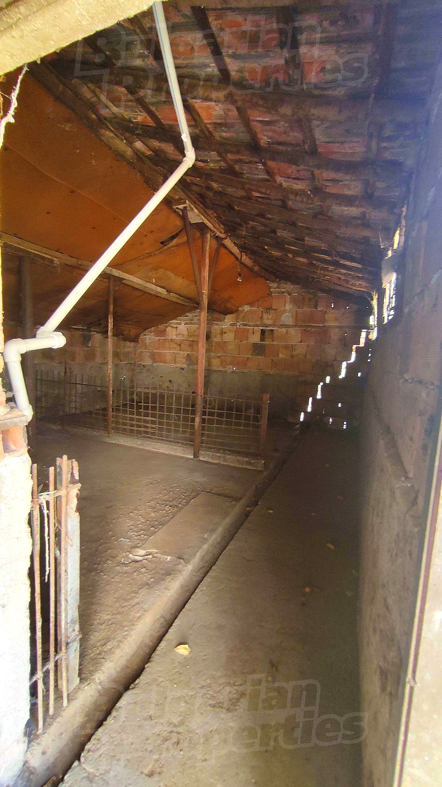 Gallery Picture 36