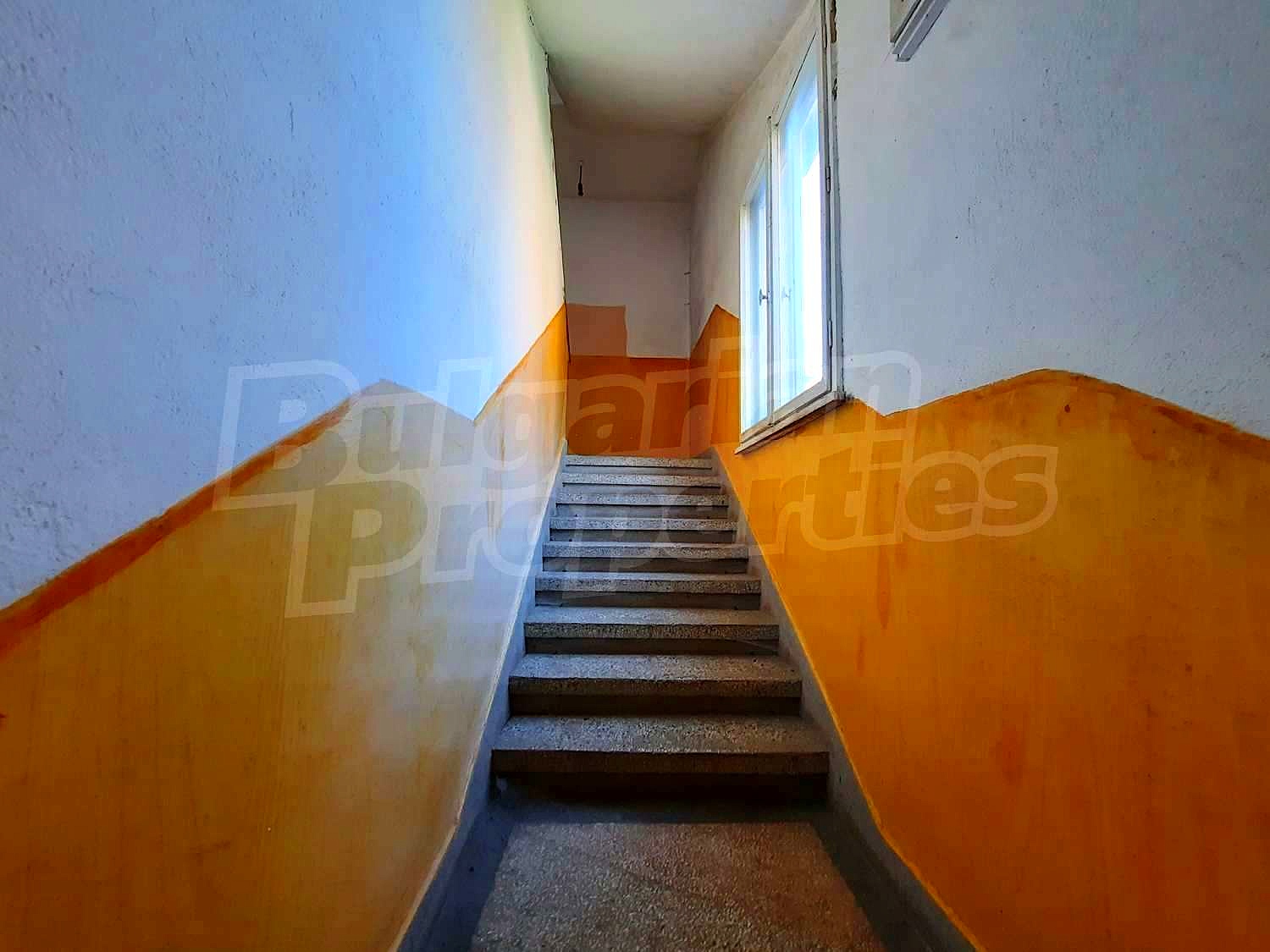 Gallery Picture 3