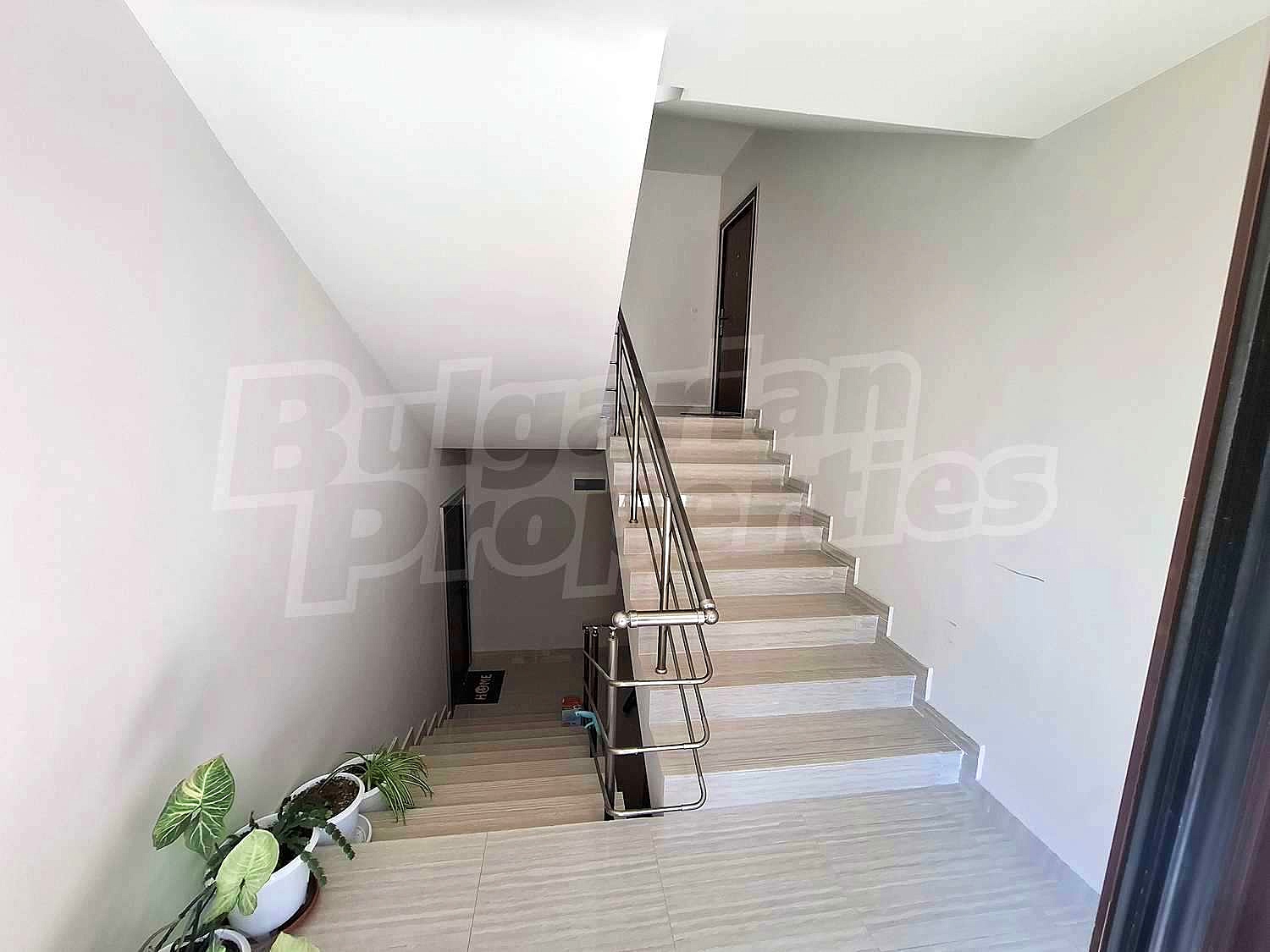 Gallery Picture 5