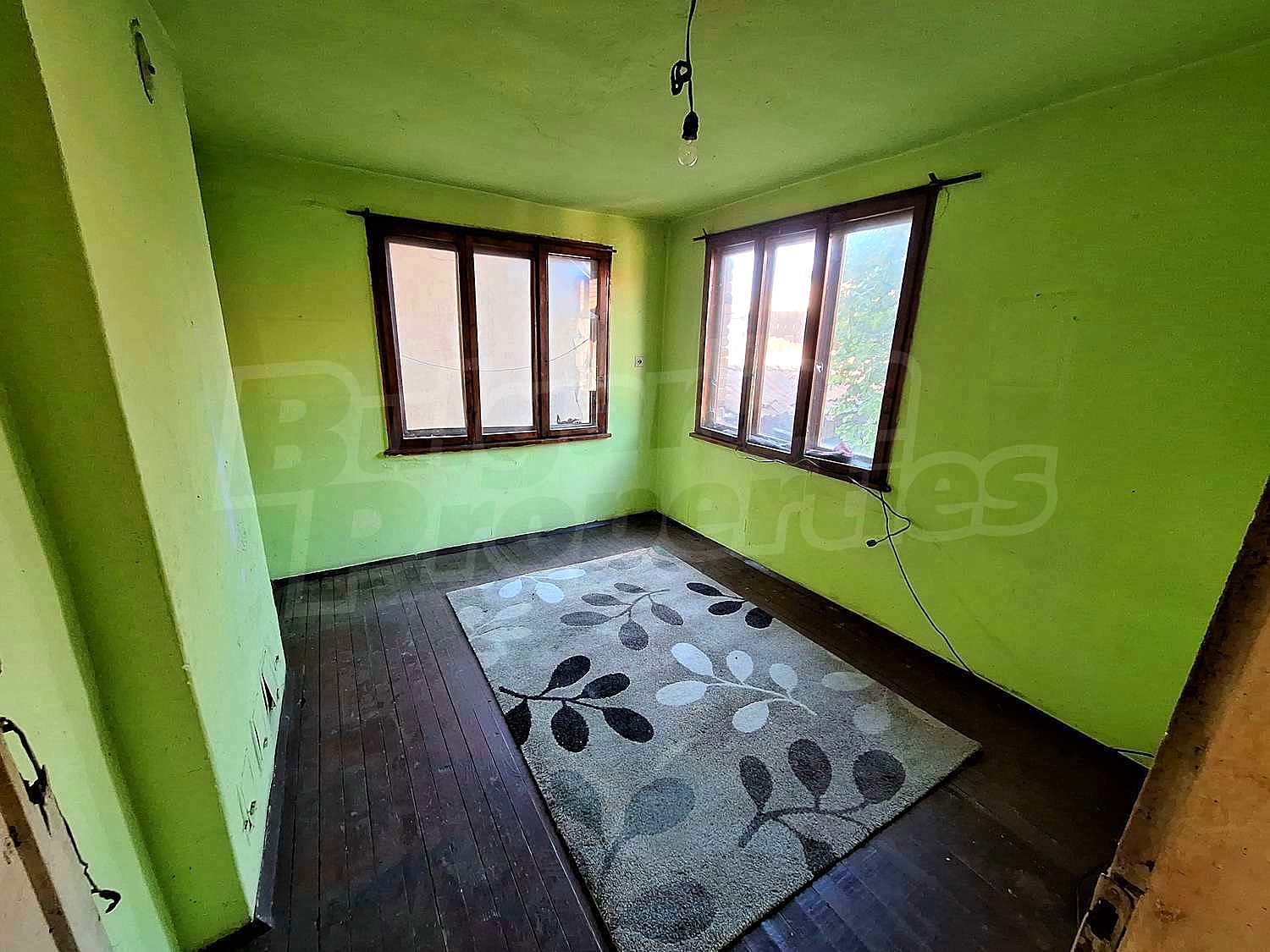 Gallery Picture 17