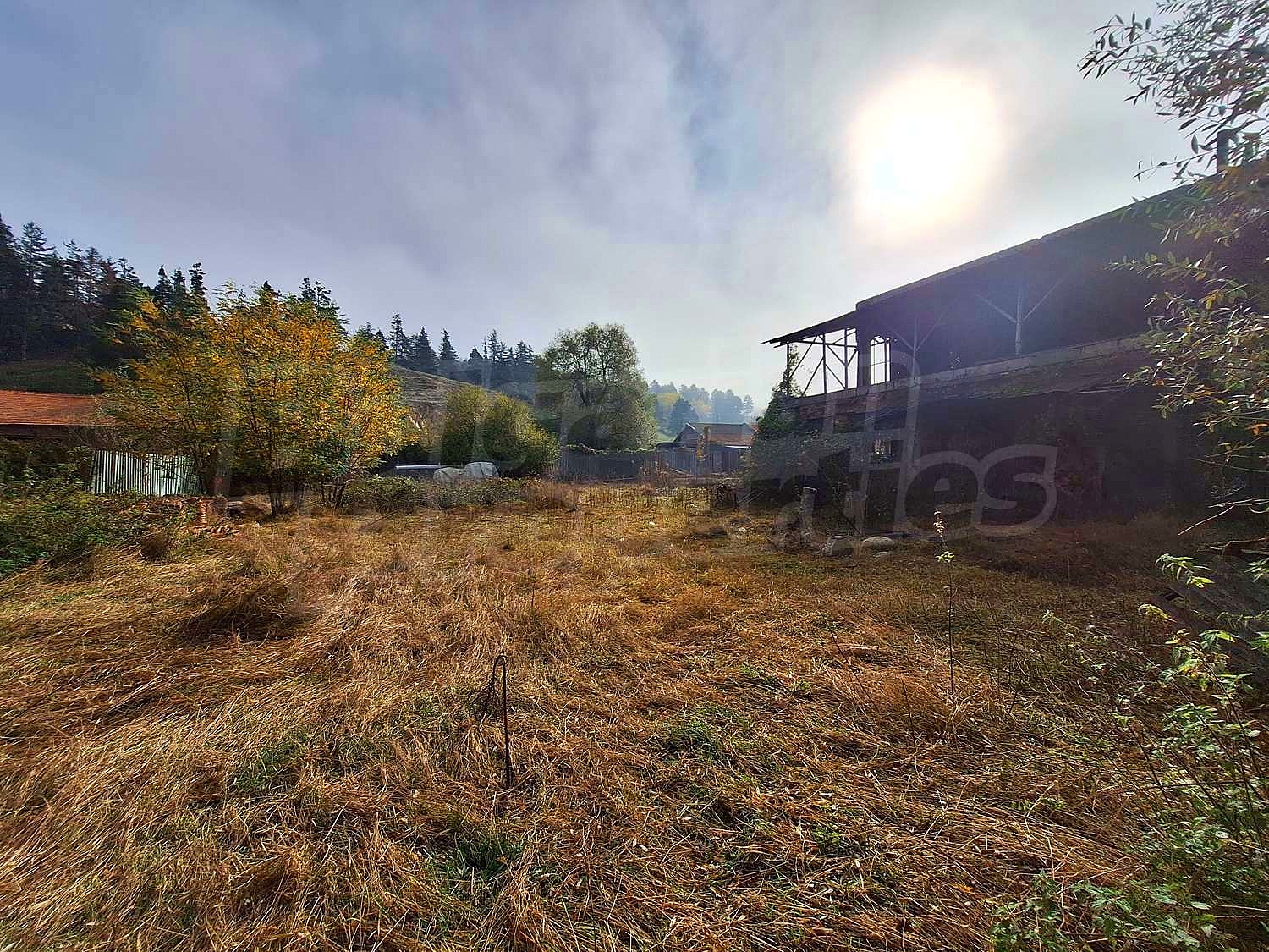 Gallery Picture 4