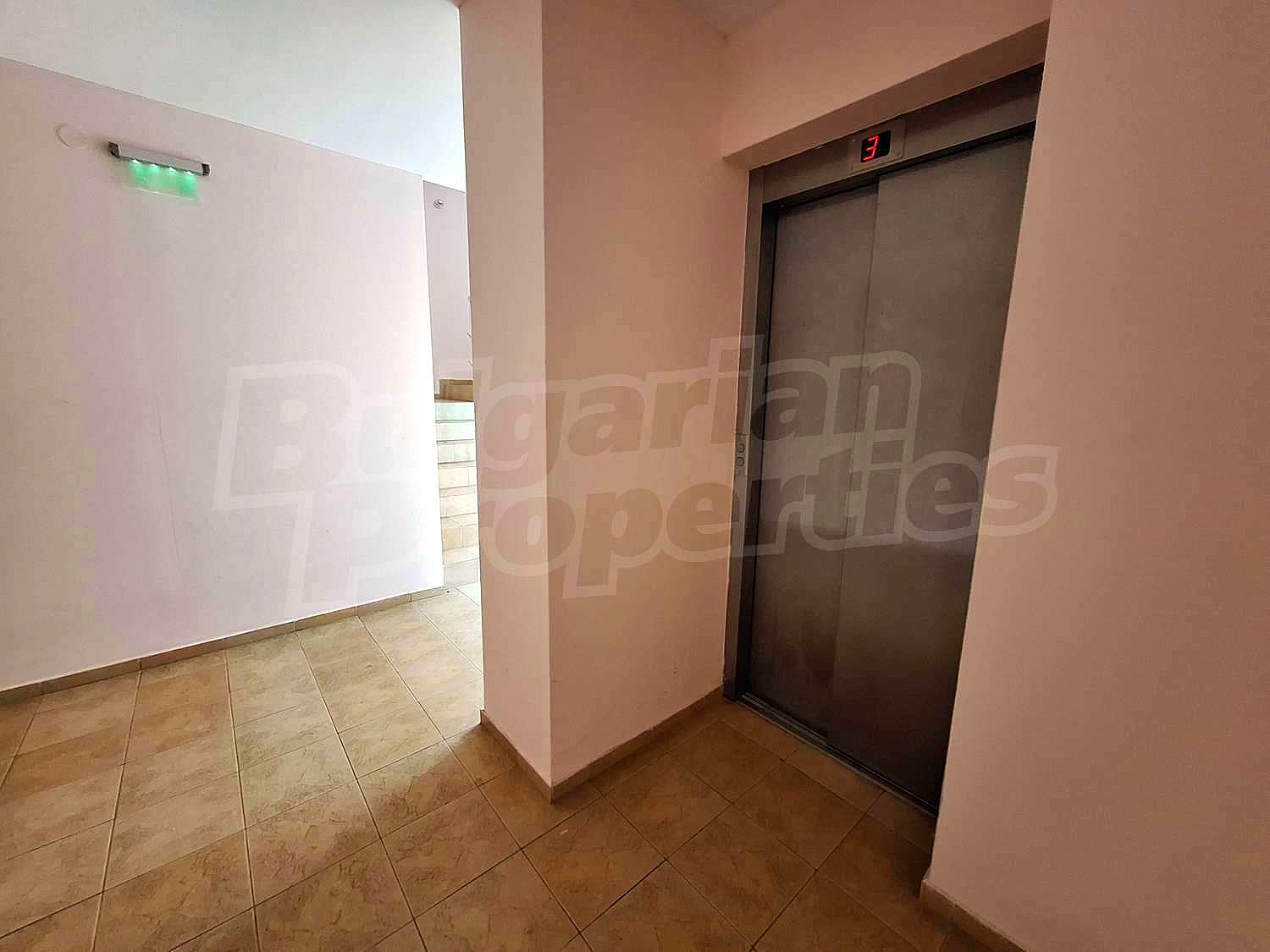 Gallery Picture 19
