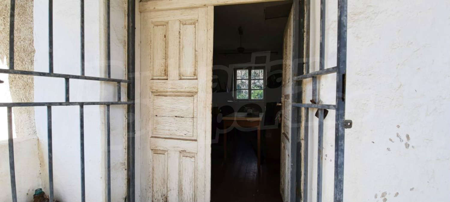 Gallery Picture 10