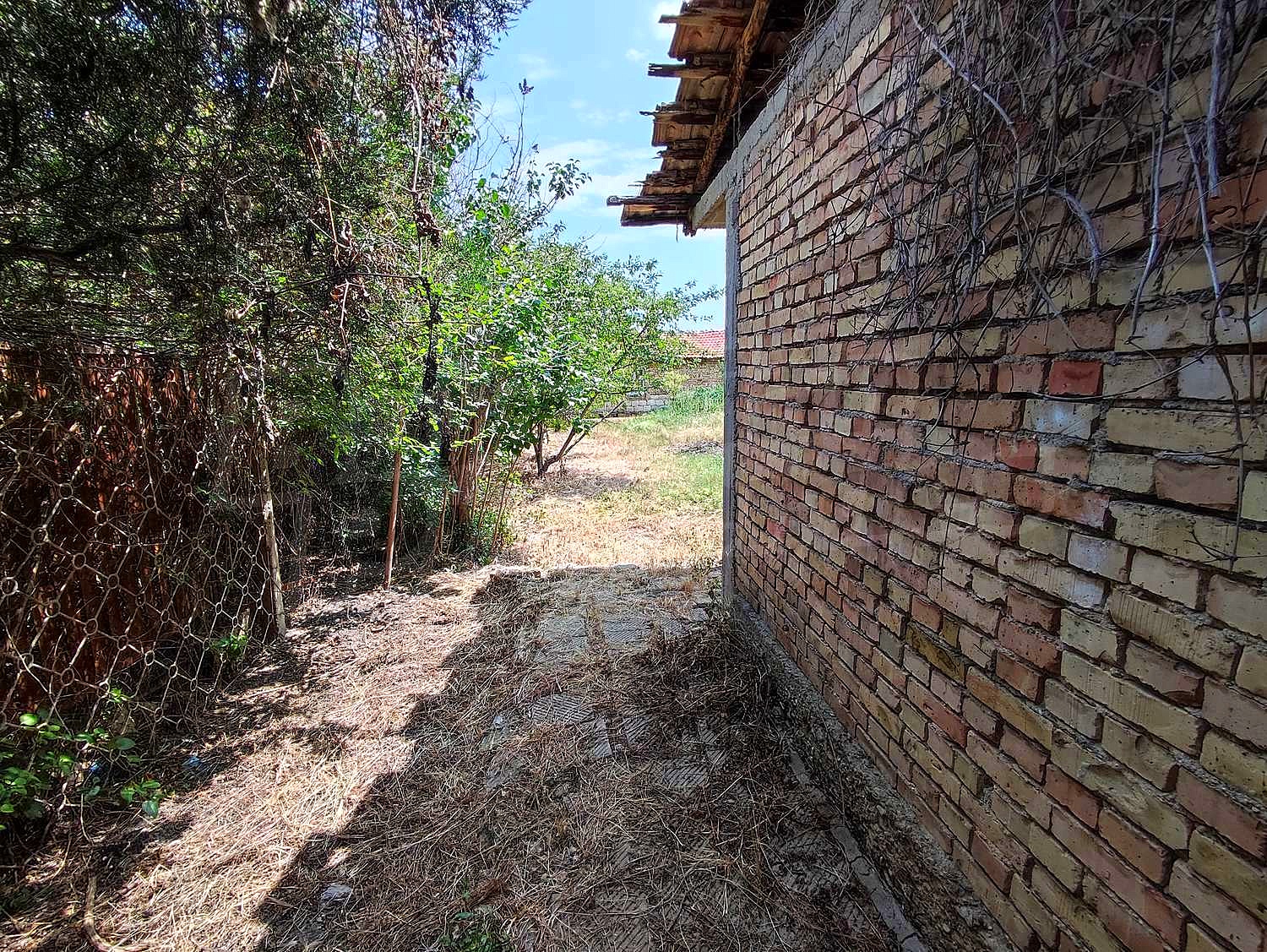 Gallery Picture 14