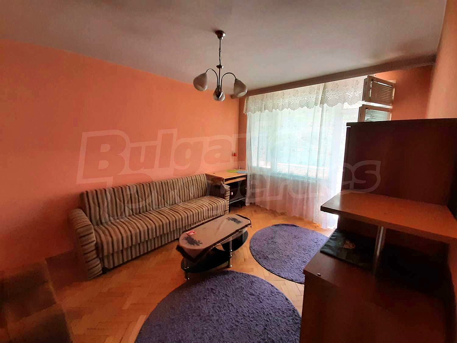 Gallery Picture 12