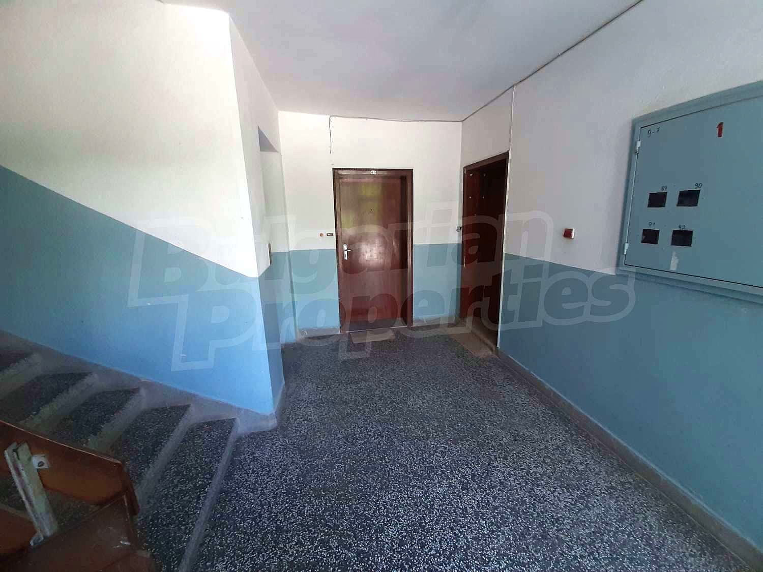Gallery Picture 10