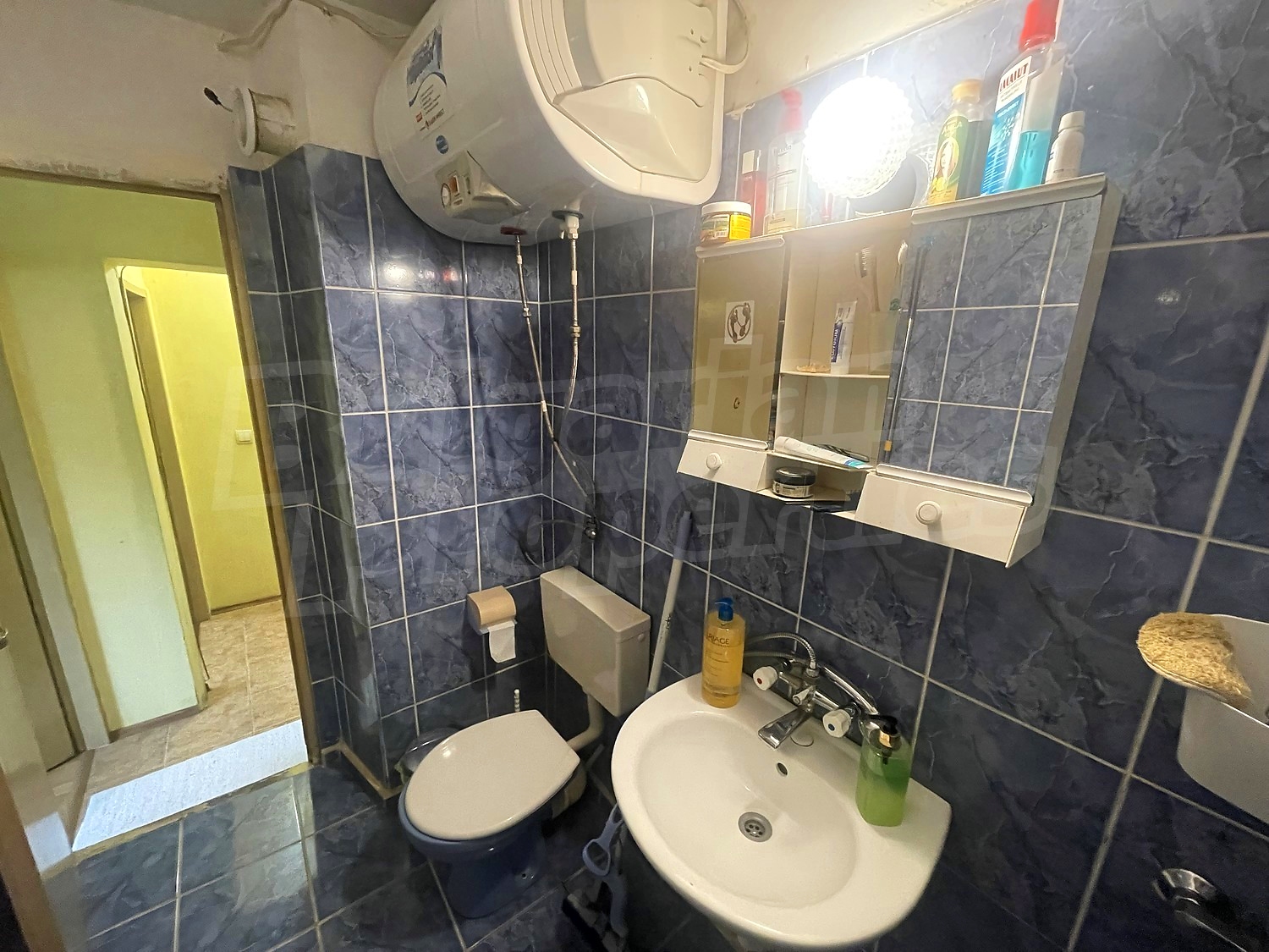 Gallery Picture 17