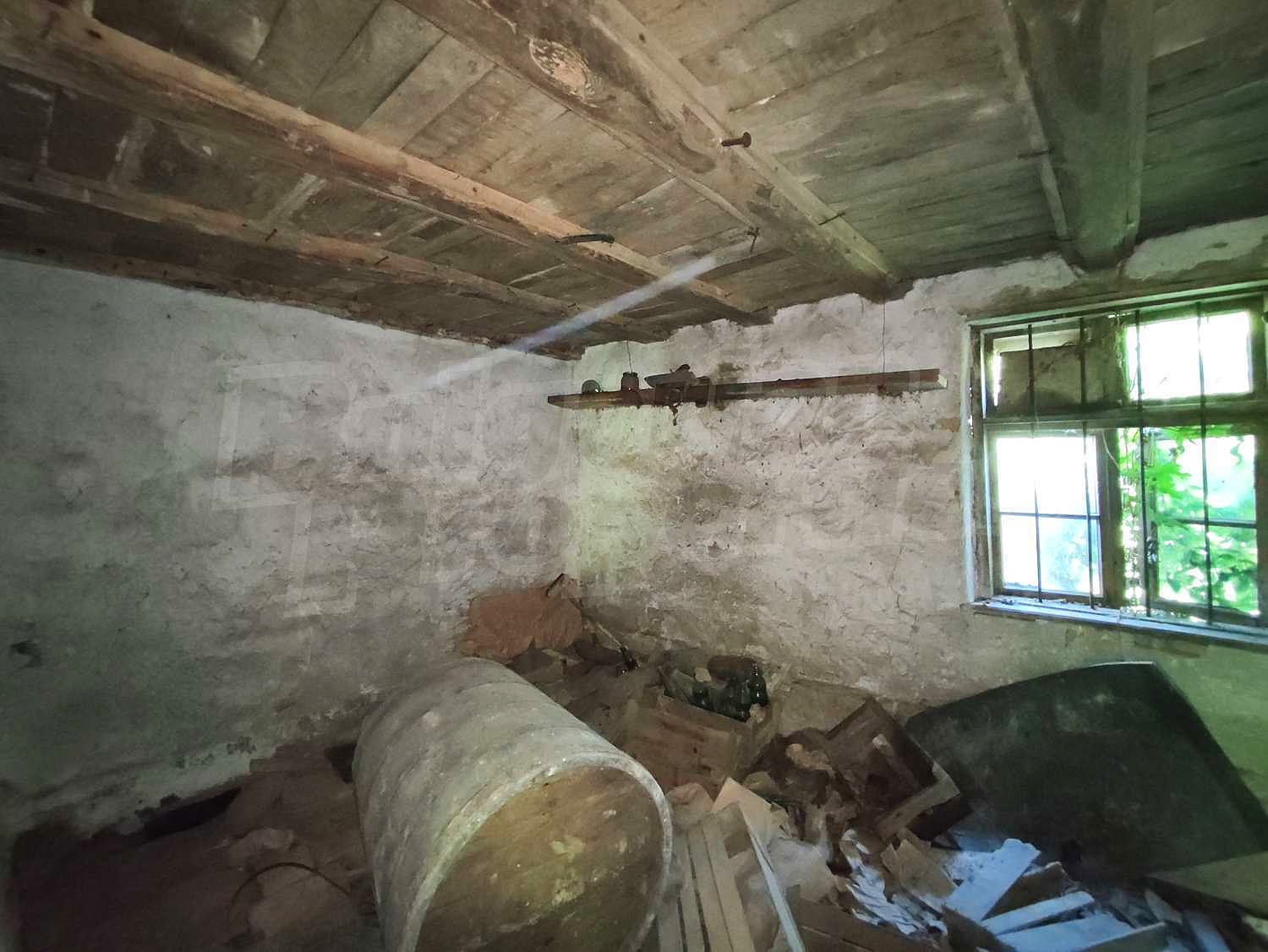 Gallery Picture 11