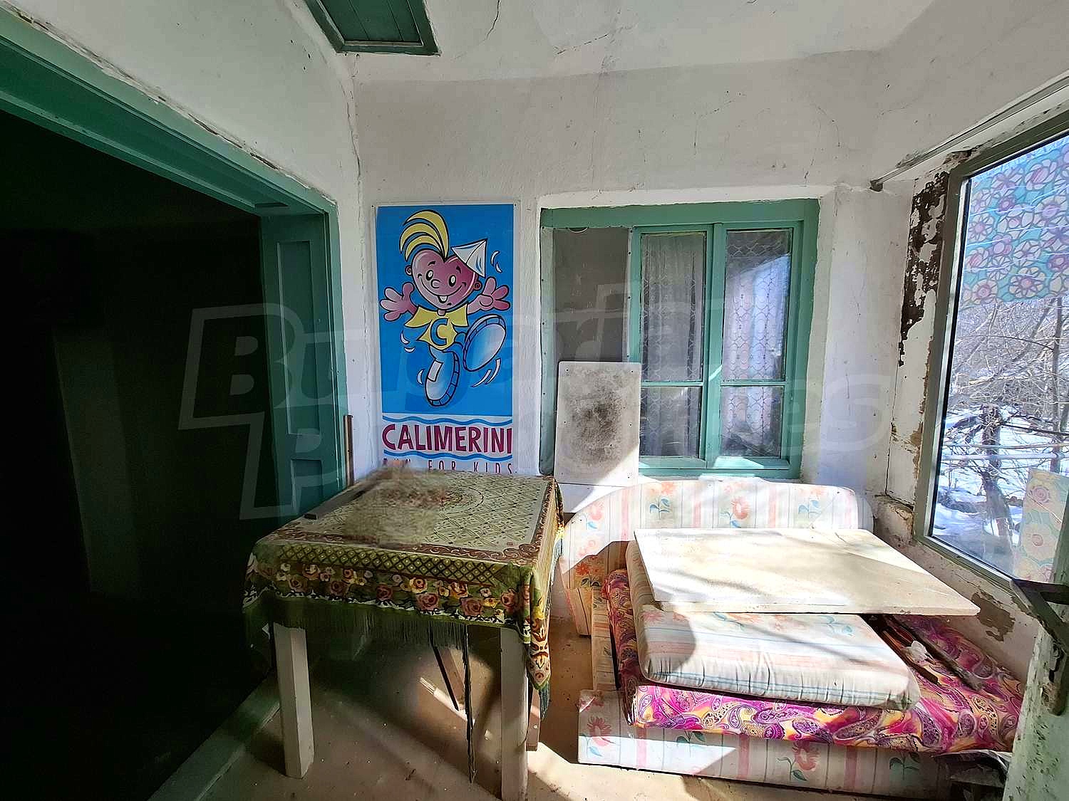 Gallery Picture 5