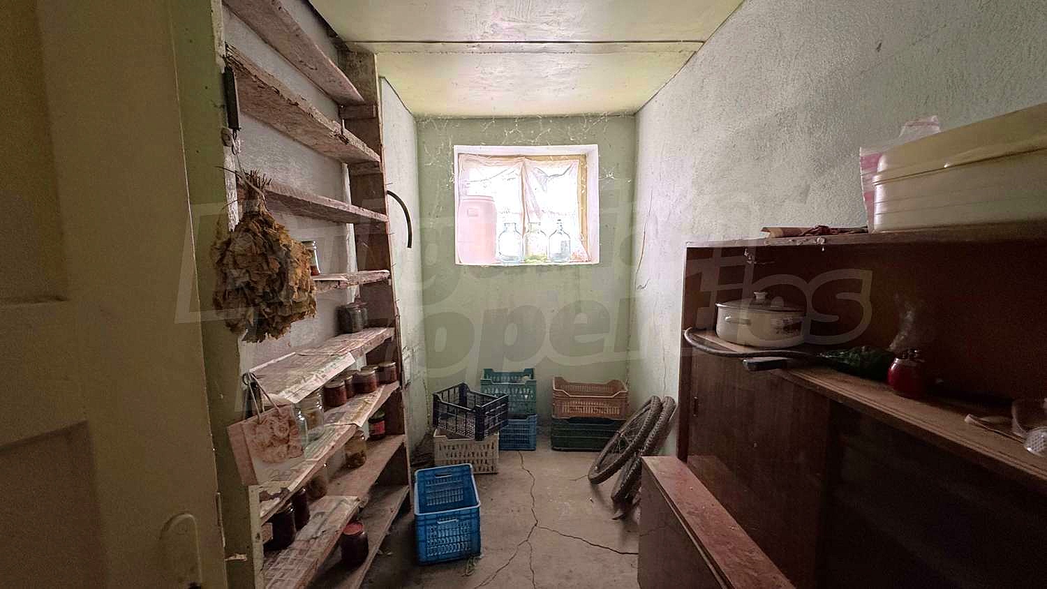 Gallery Picture 11