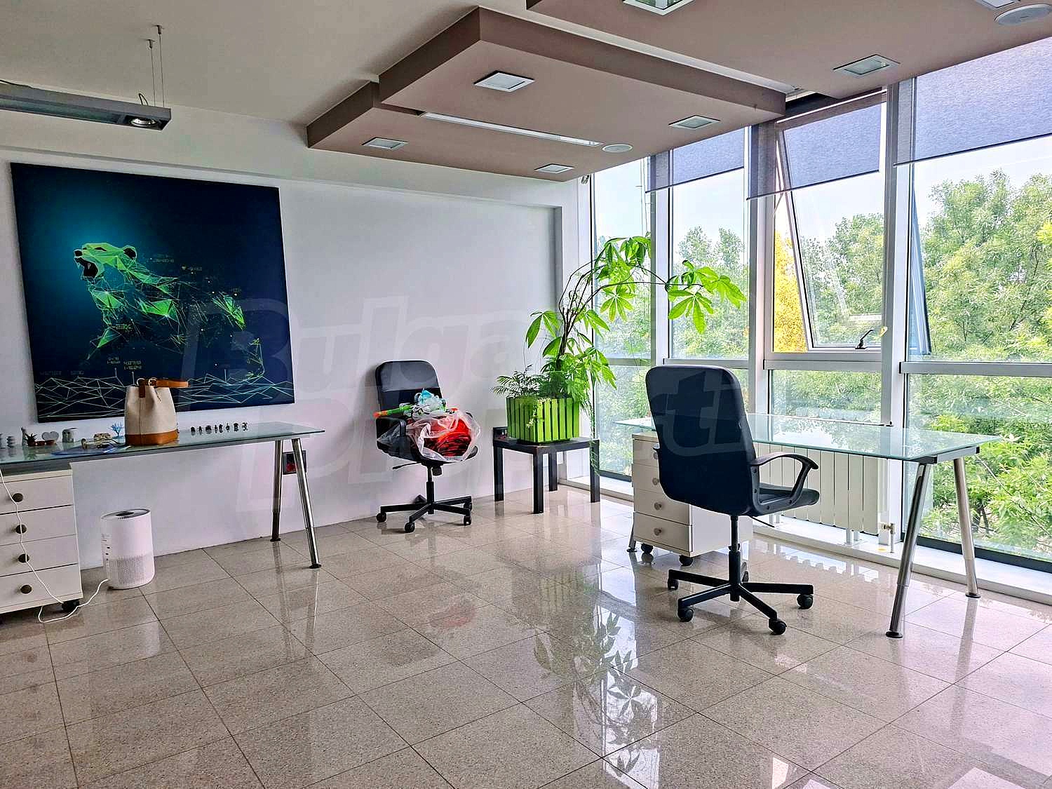 Gallery Picture 1