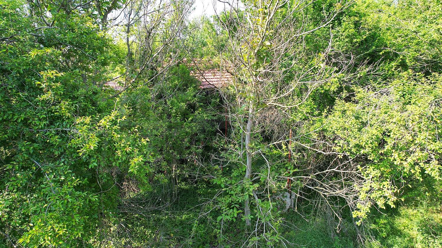 Gallery Picture 6