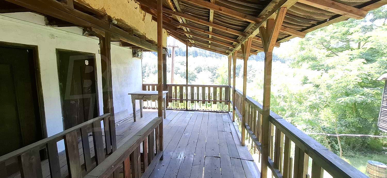 Gallery Picture 5