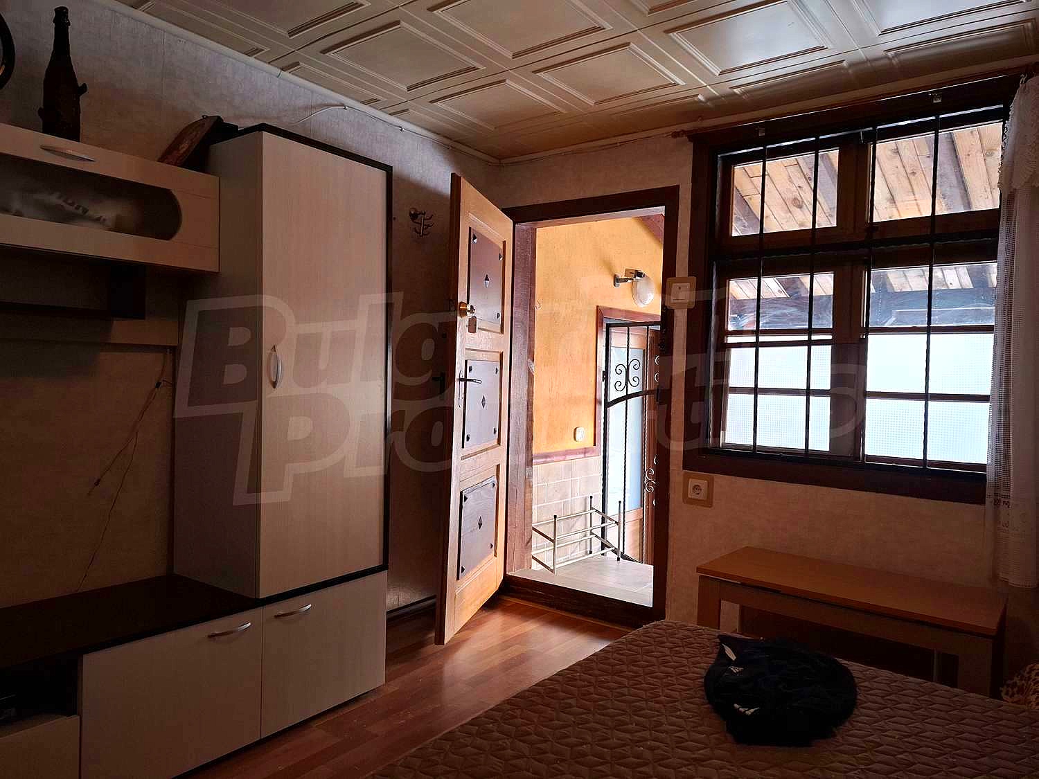 Gallery Picture 16