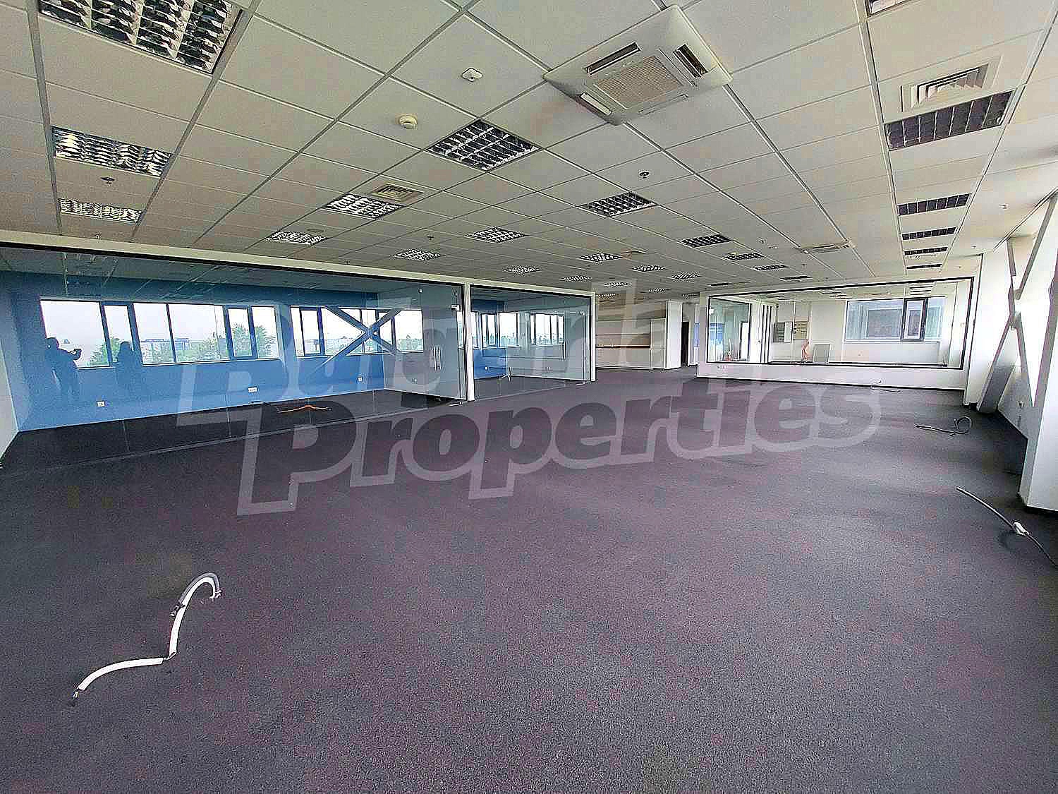 Gallery Picture 2