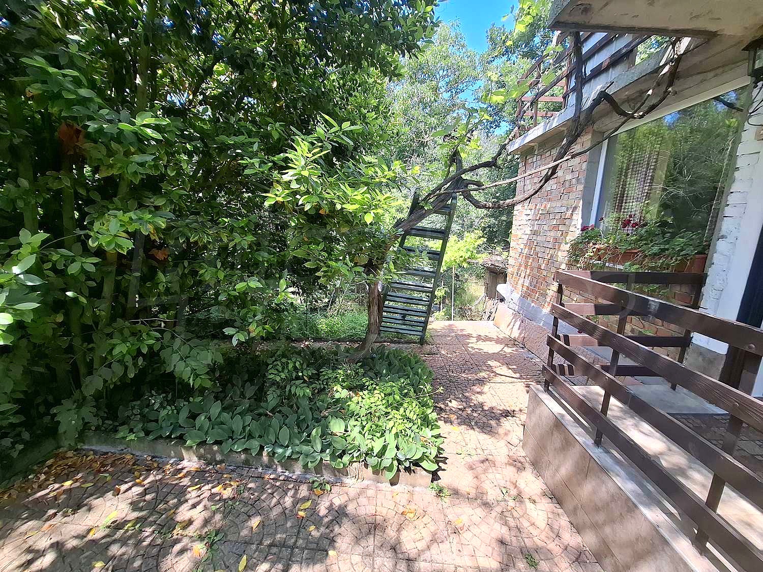 Gallery Picture 2