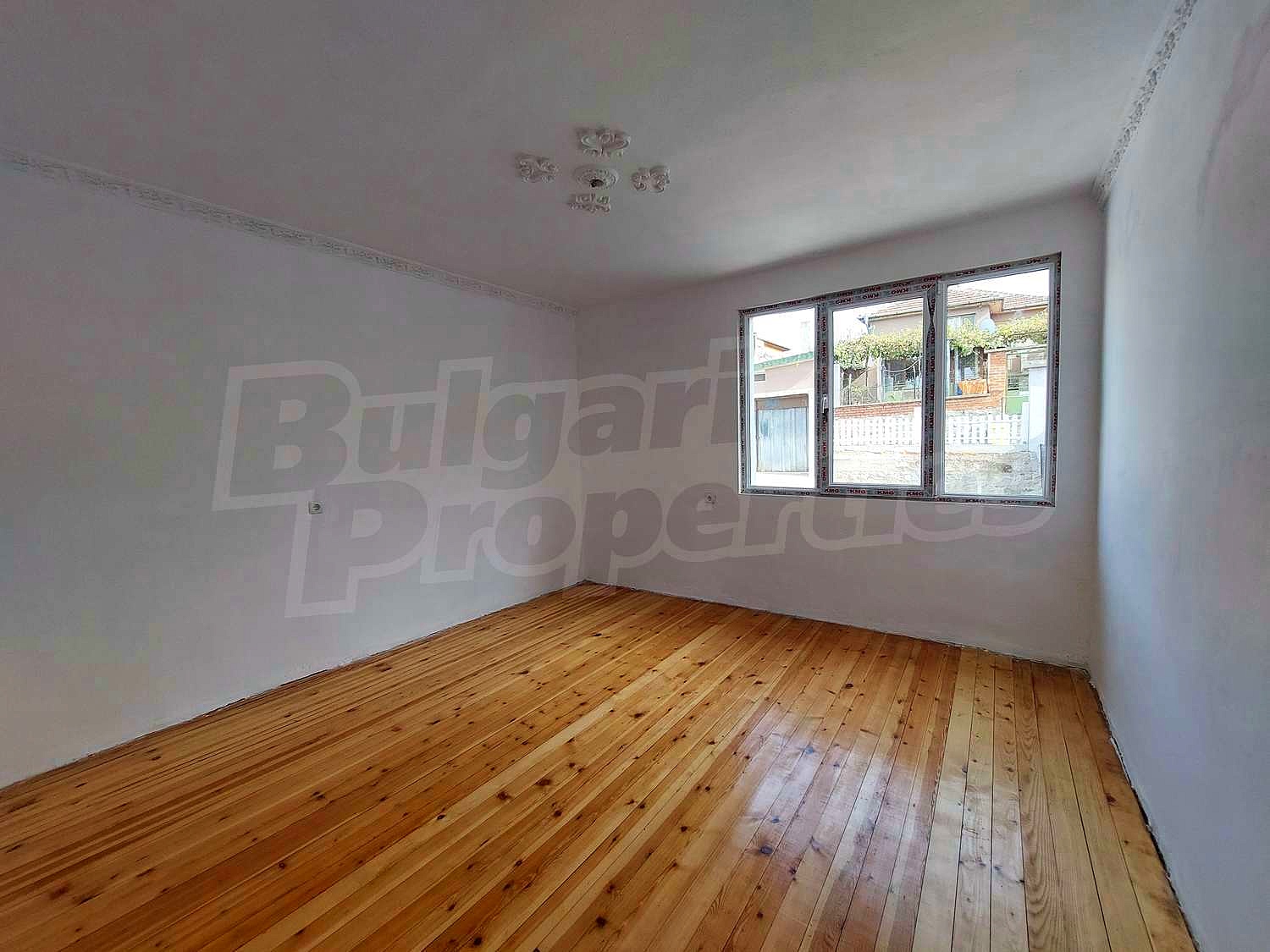 Gallery Picture 7