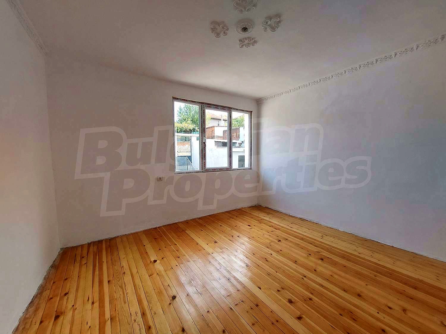 Gallery Picture 12