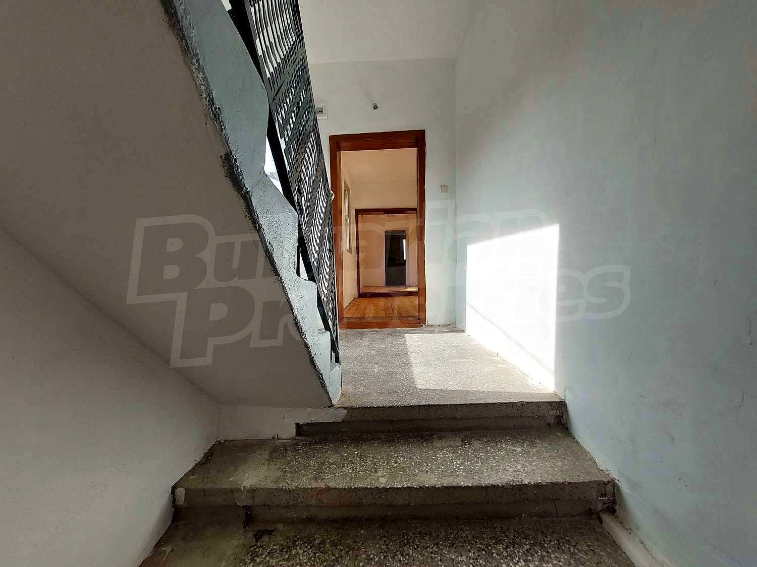 Gallery Picture 8