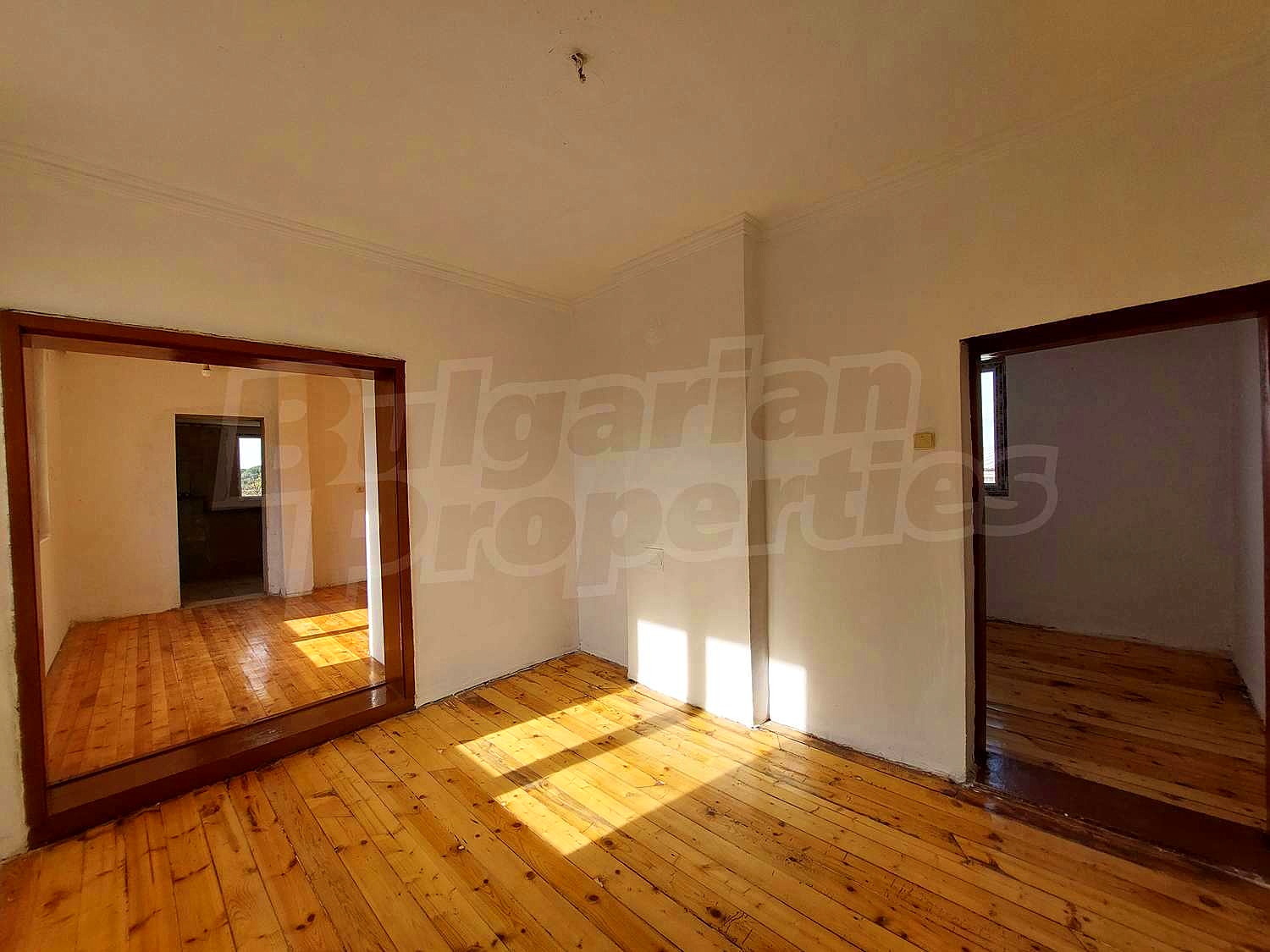 Gallery Picture 5