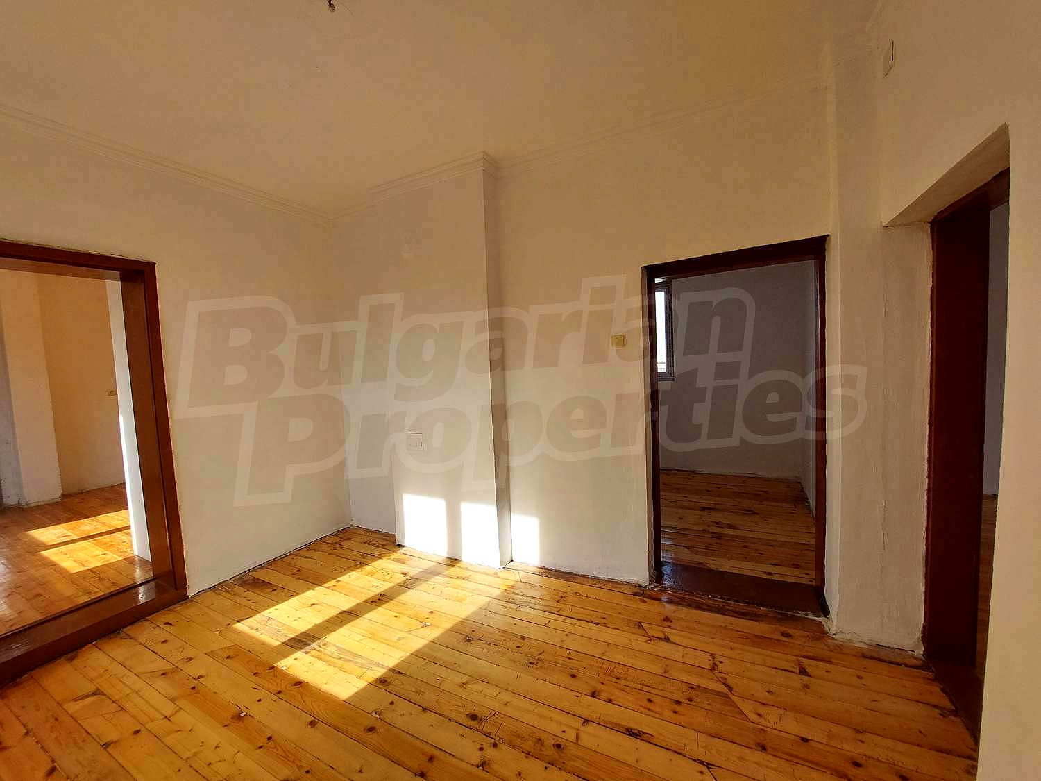 Gallery Picture 10