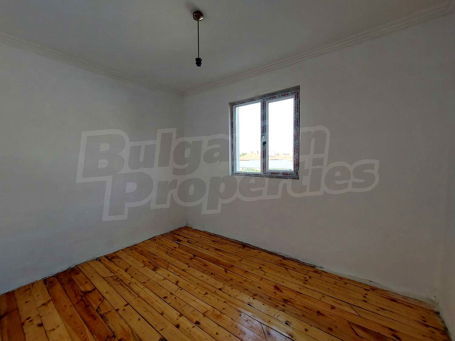 Gallery Picture 14