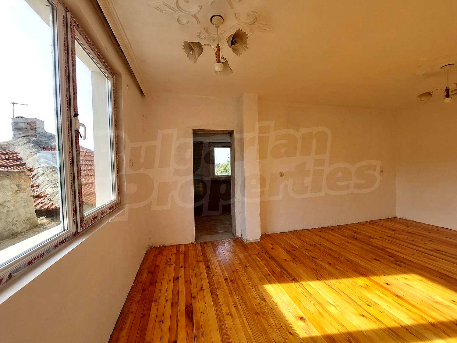 Gallery Picture 11