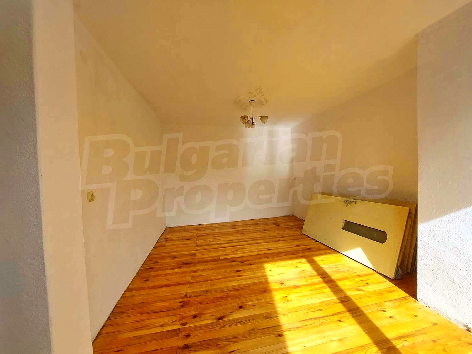 Gallery Picture 15
