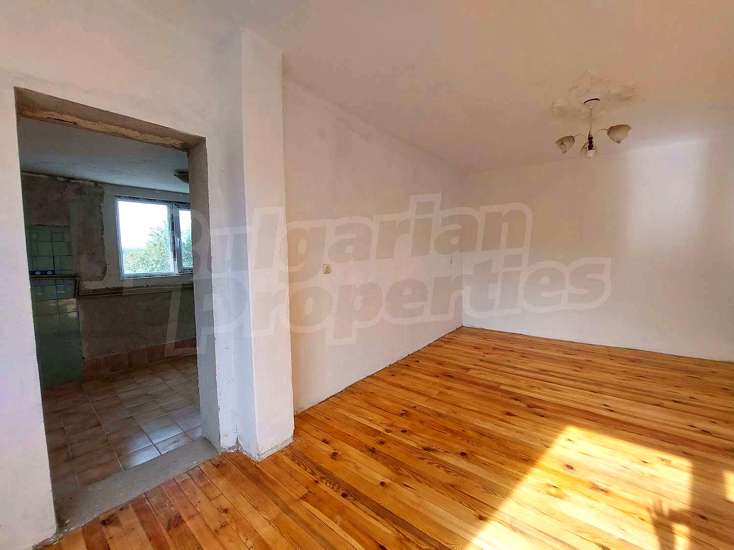 Gallery Picture 16