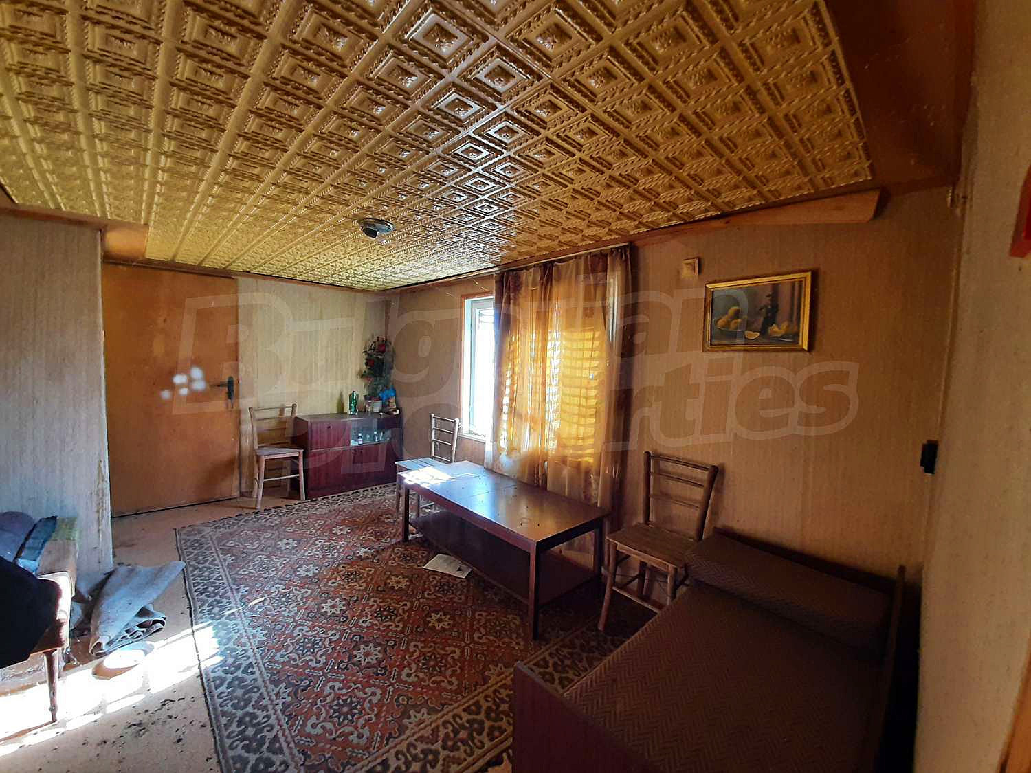 Gallery Picture 5