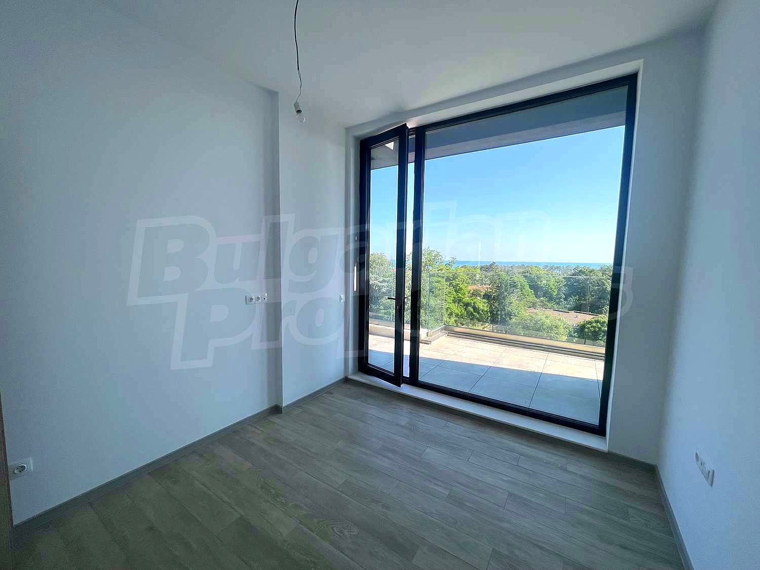 Gallery Picture 37