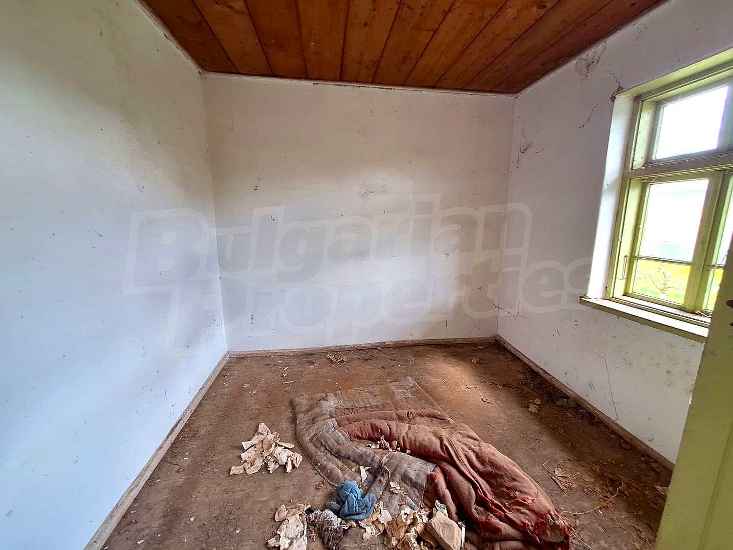 Gallery Picture 11