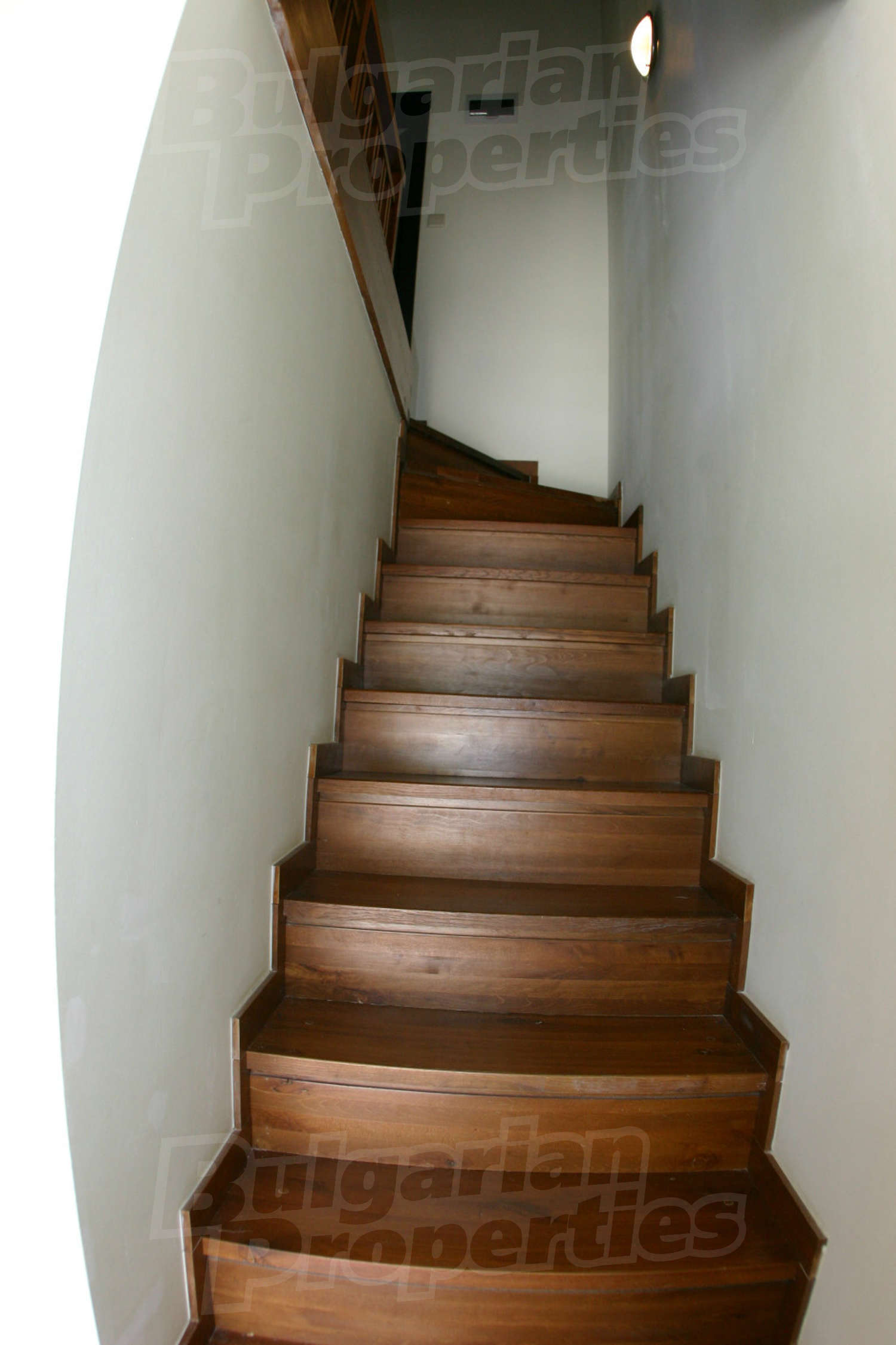 Gallery Picture 16