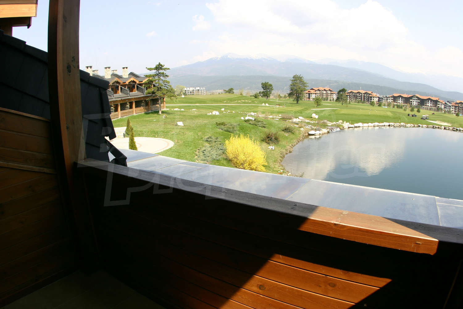 Gallery Picture 26