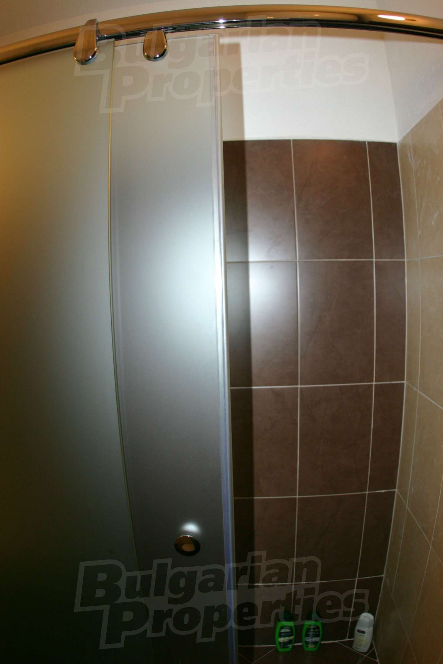 Gallery Picture 34
