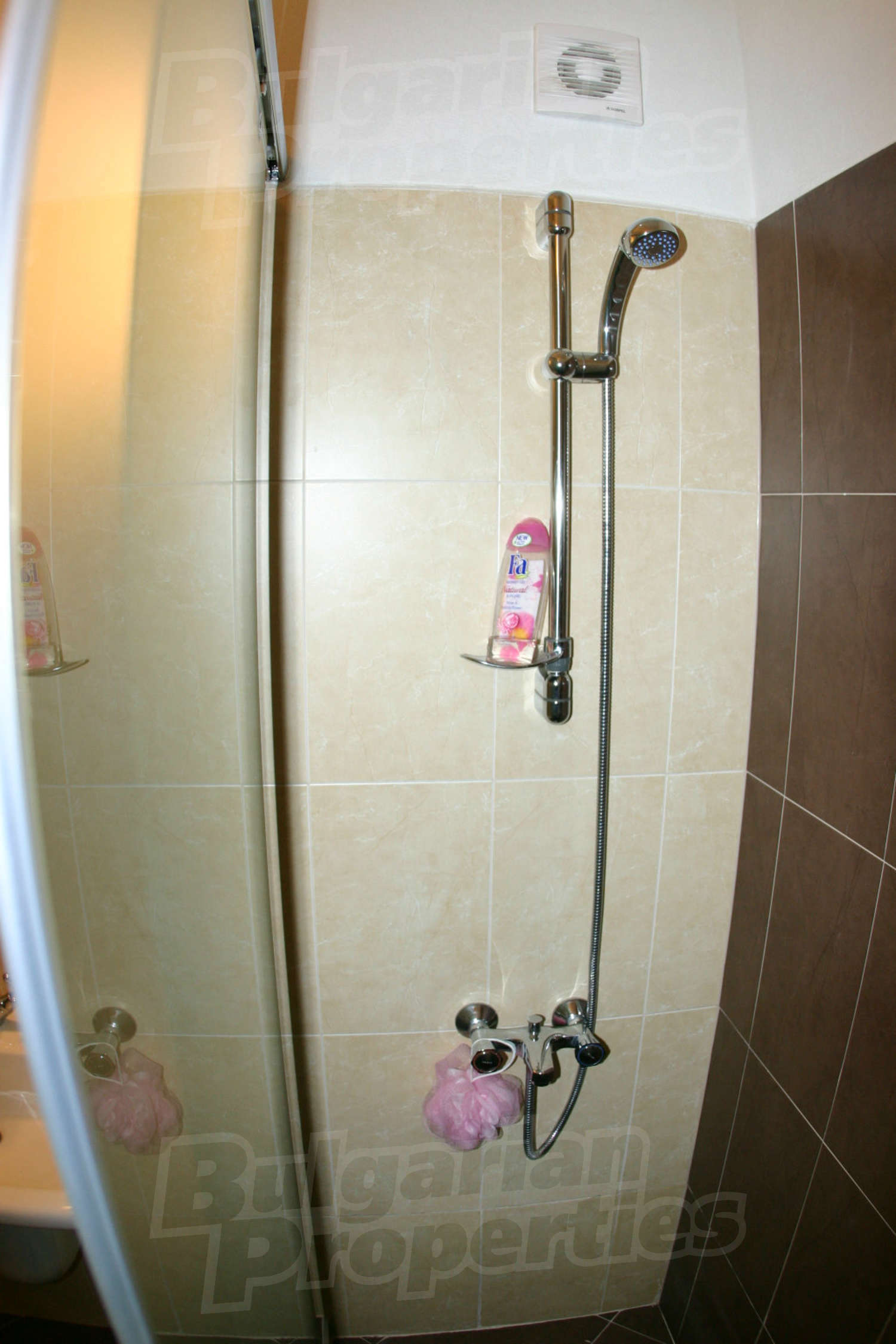Gallery Picture 35