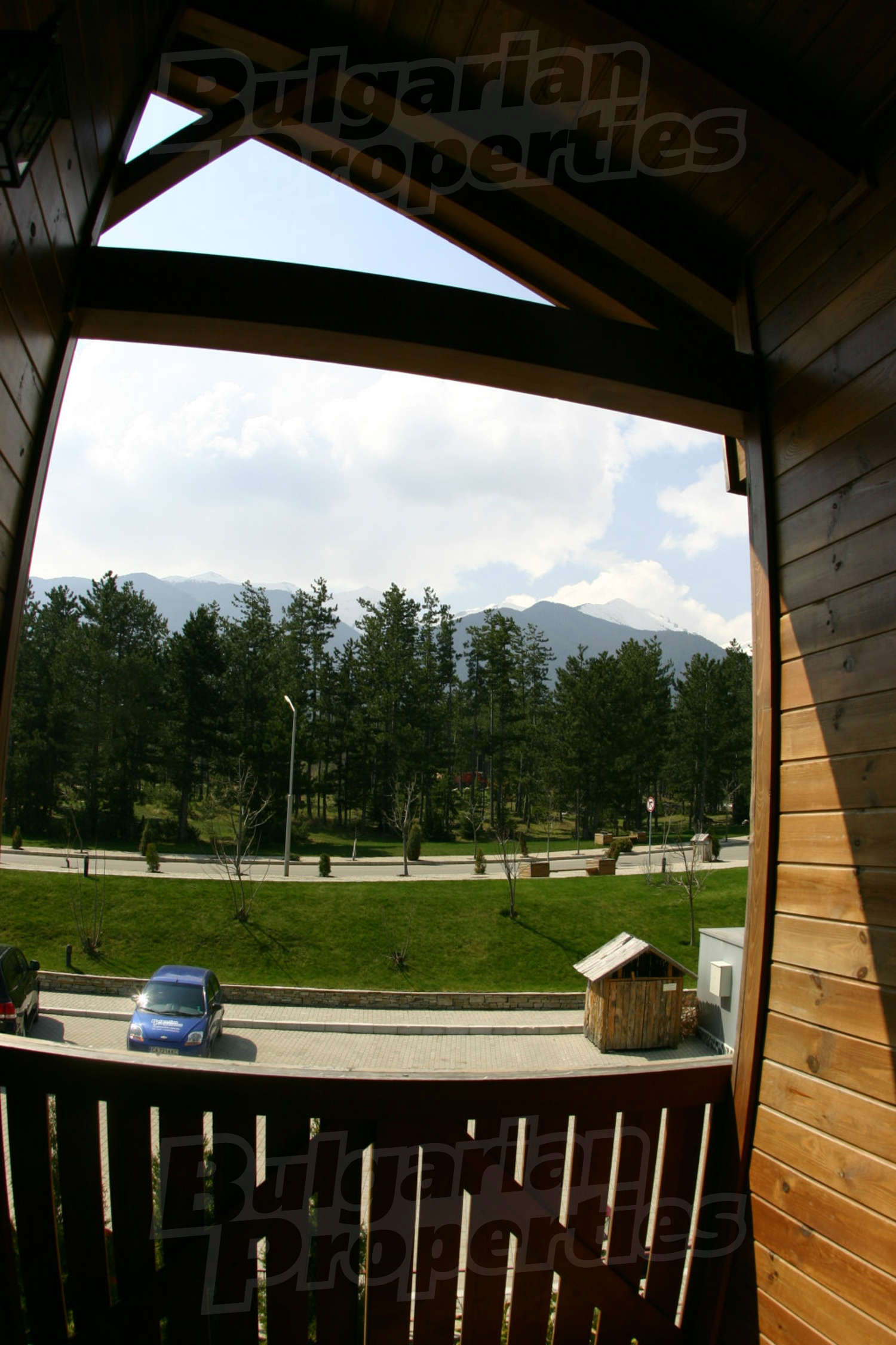 Gallery Picture 42