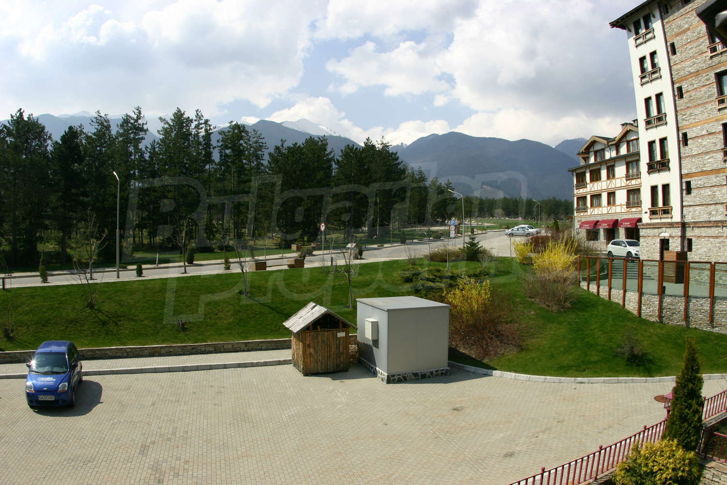 Gallery Picture 46