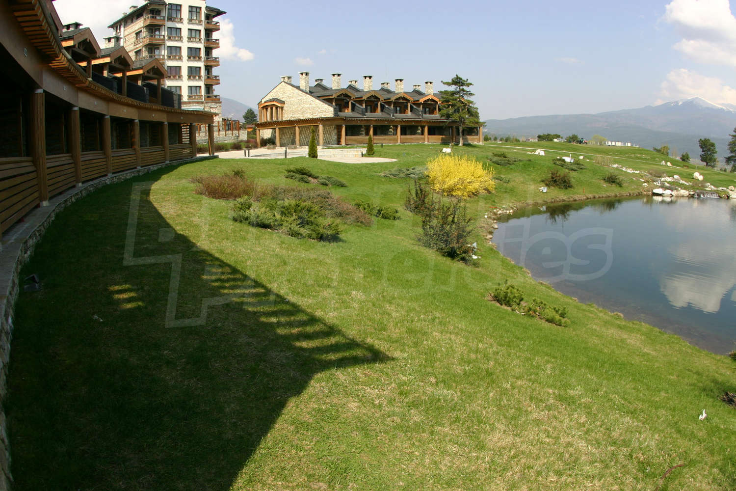 Gallery Picture 56