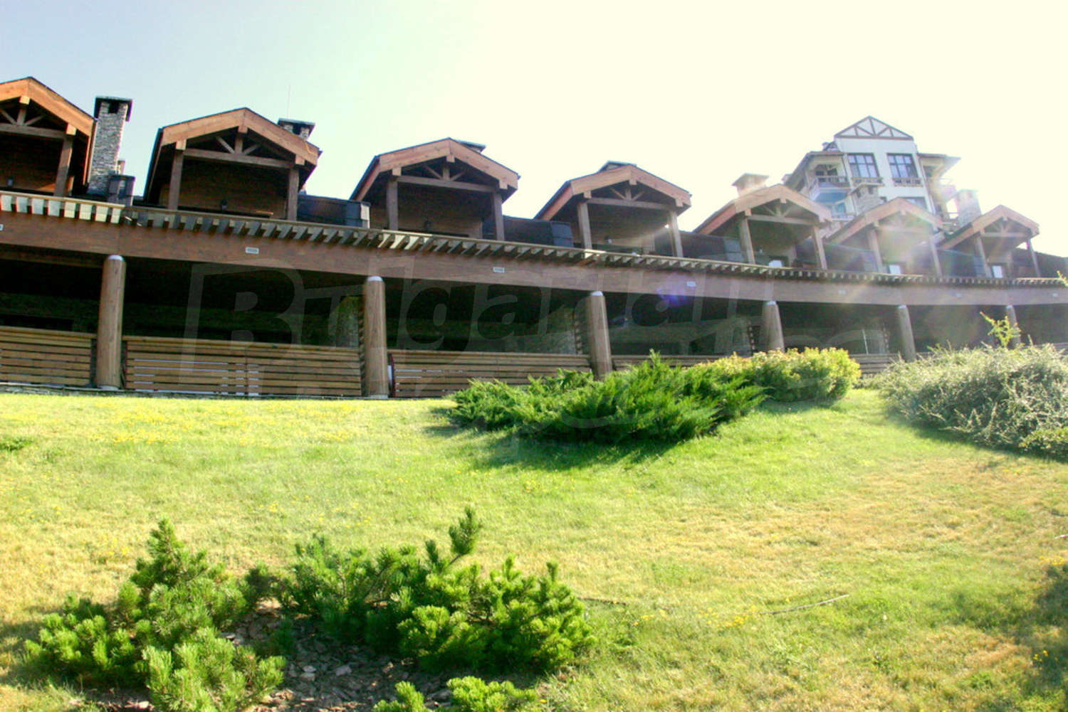 Gallery Picture 64