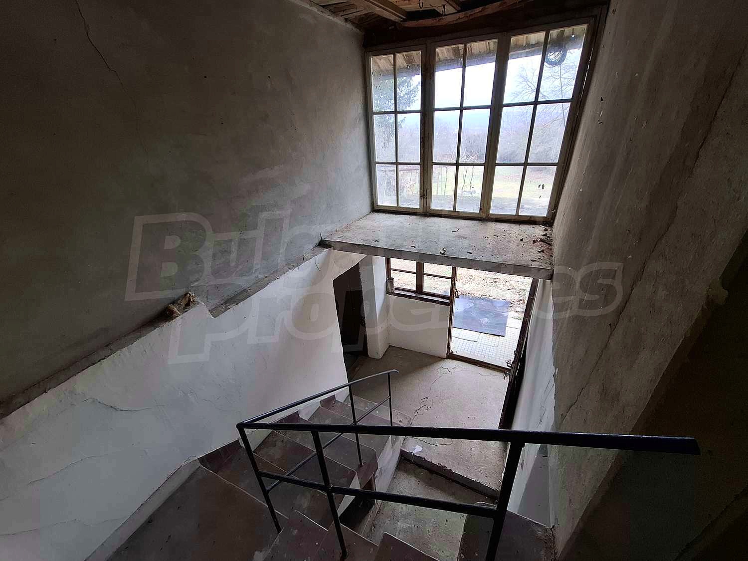Gallery Picture 23