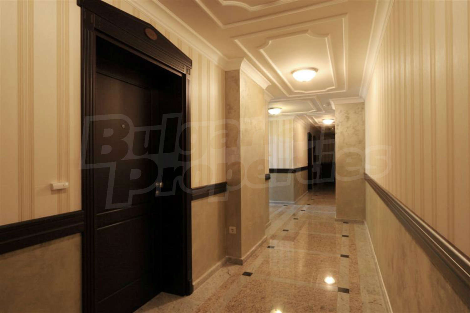Gallery Picture 15