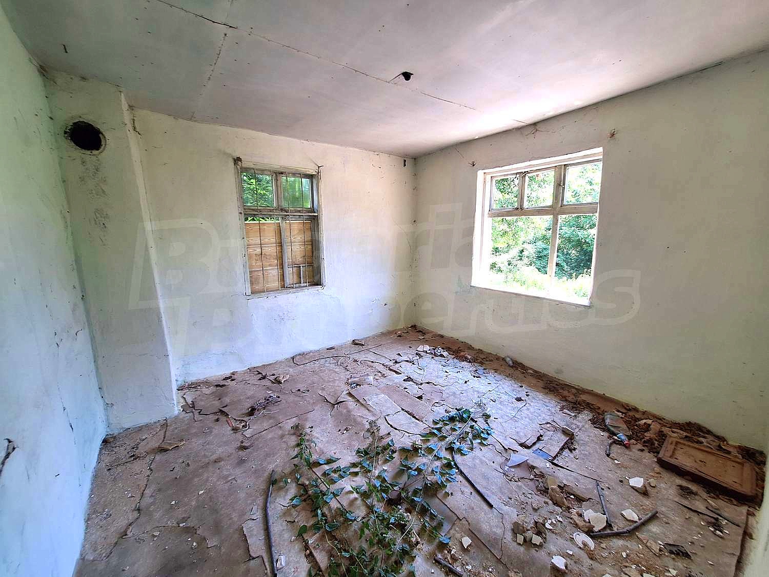 Gallery Picture 4