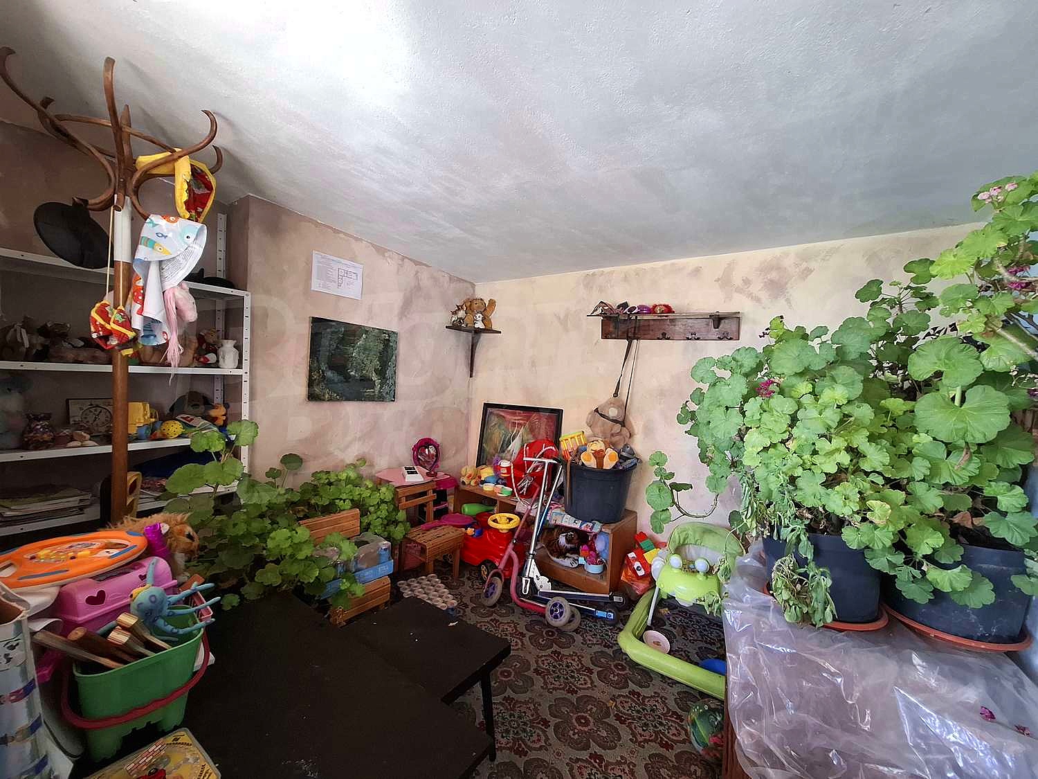 Gallery Picture 47