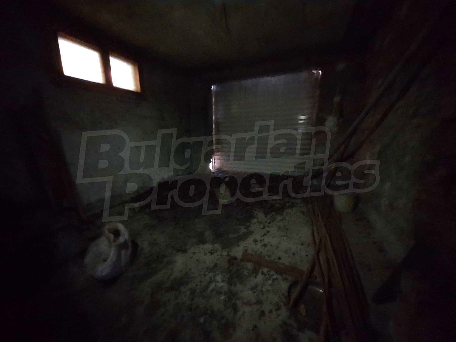Gallery Picture 37
