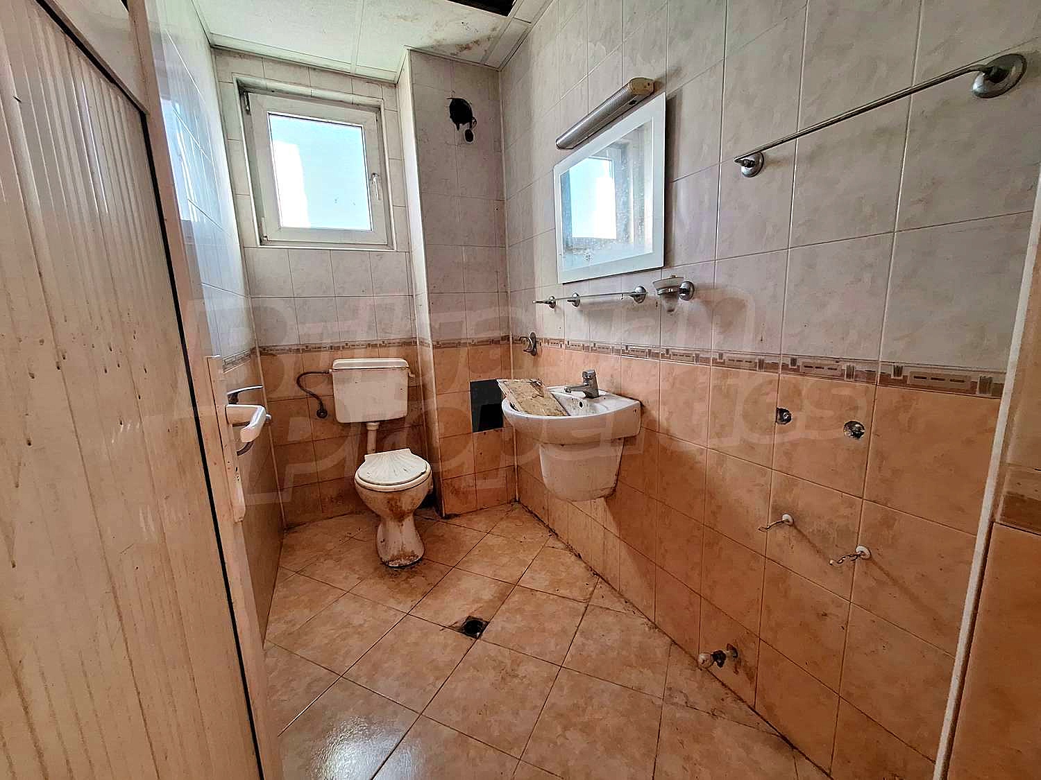 Gallery Picture 42