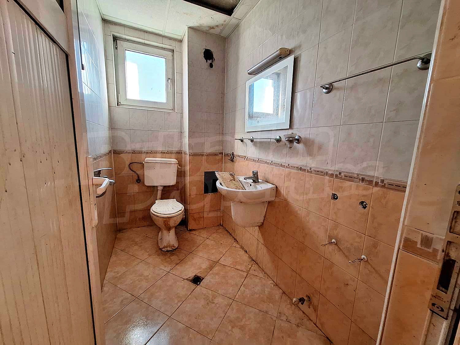 Gallery Picture 43